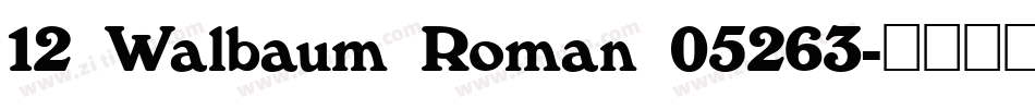 12 Walbaum Roman 05263字体转换